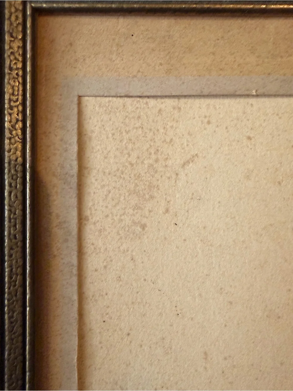Charming Vintage Gilded Frame with Mat Insert 6” x 8” x .4”